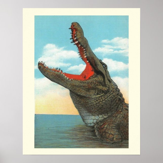 Poster Sr. Alligator (Frente)