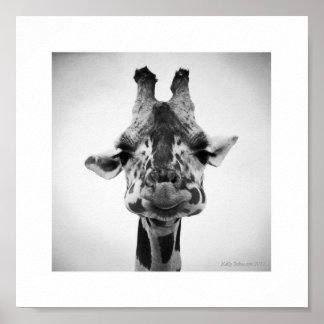 Poster Sr. Graves Giraffe Black and White Photoographic