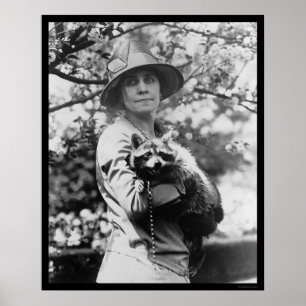 Póster Sra. Calvin Coolidge com seu guaxinim 1923