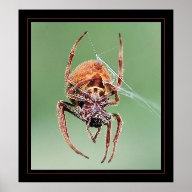 Poster Sra. Weaver (Frente)