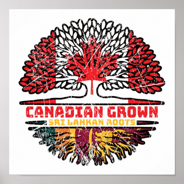 Poster Sri Lanka Sri Lanka - Raízes de Árvore Canadense (Frente)