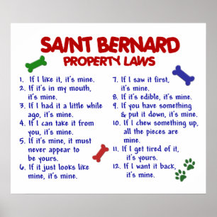 PÓSTER ST BERNARD PL2