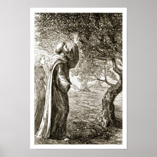 Poster St. Columba changes bitter fruit into sweet, from