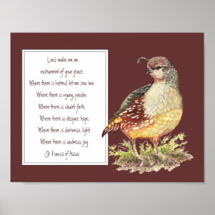 Póster St Francis do pássaro das codorniz de Califórnia