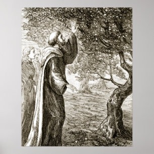 Poster St. O Columba muda a fruta amarga no doce, de