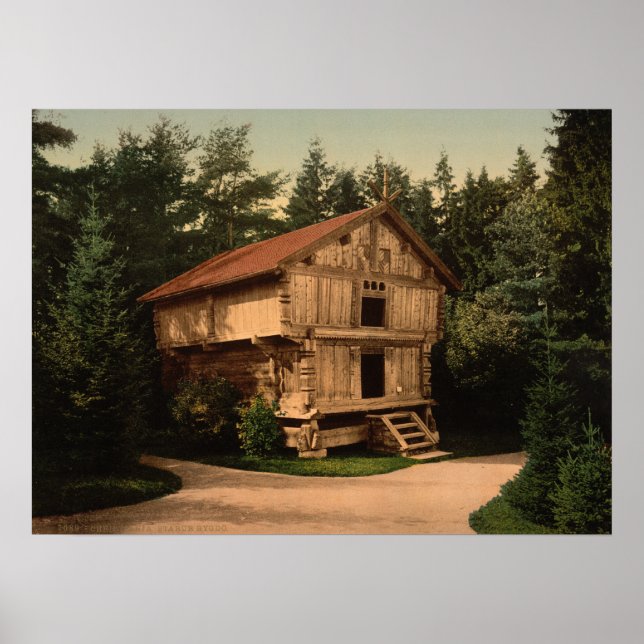 Póster Stability, Oslo, Noruega (Frente)