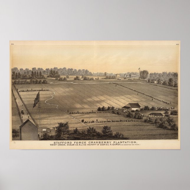 Poster Stafford Forge Cranberry Plantation, West Creek (Frente)