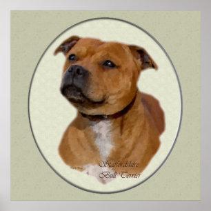 Póster Staffordshire Bull Terrier Art Gifts