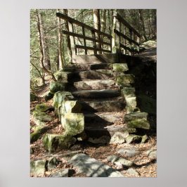 Poster Stairway to Woods