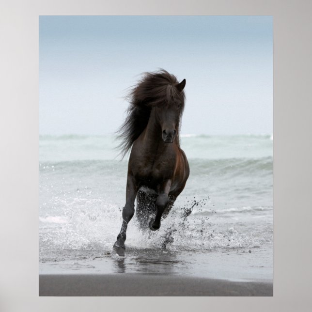 Poster Stallion Running On Beach | Atlântico Norte (Frente)