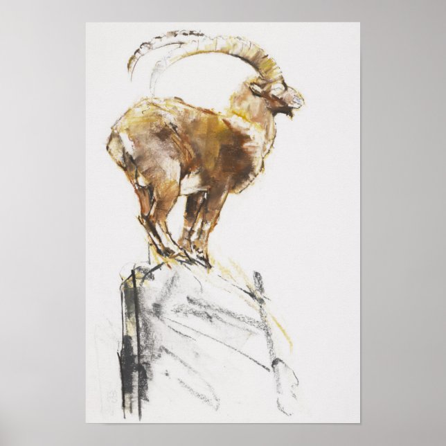 Poster Stambecco d'Oro 2005 (Frente)