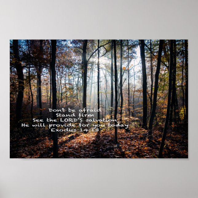 Poster Stand Firm — (Frente)