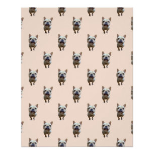 Póster Standard_1_french buldogue_1 poster brilhante
