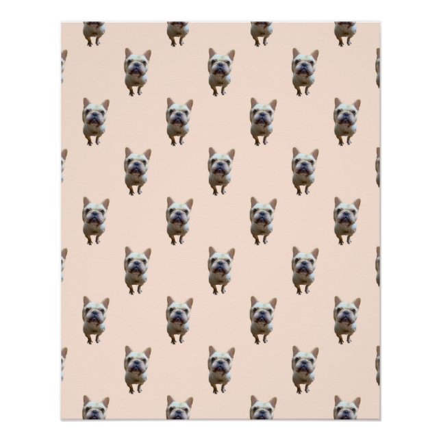 Póster Standard_1_french buldogue_1 poster brilhante (Frente)
