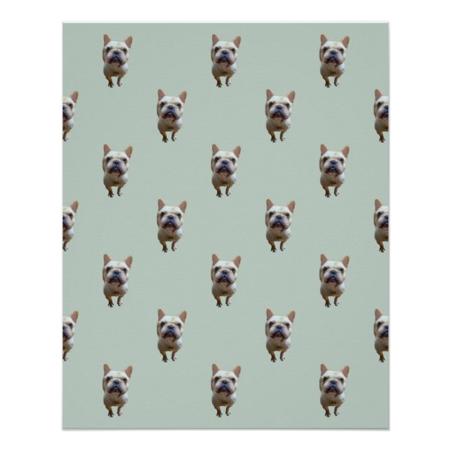 Póster standard_2_french buldogue_2 poster brilhante (Frente)