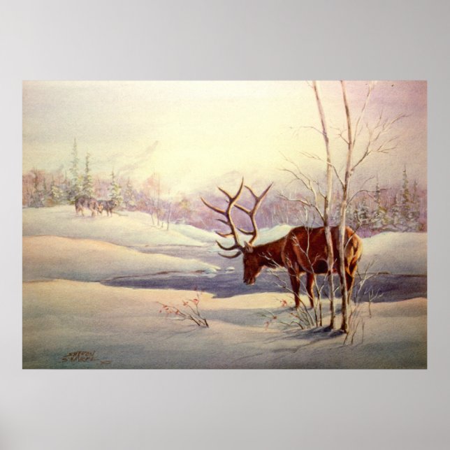 Póster STANDOFF de SHARON SHARPE (Frente)