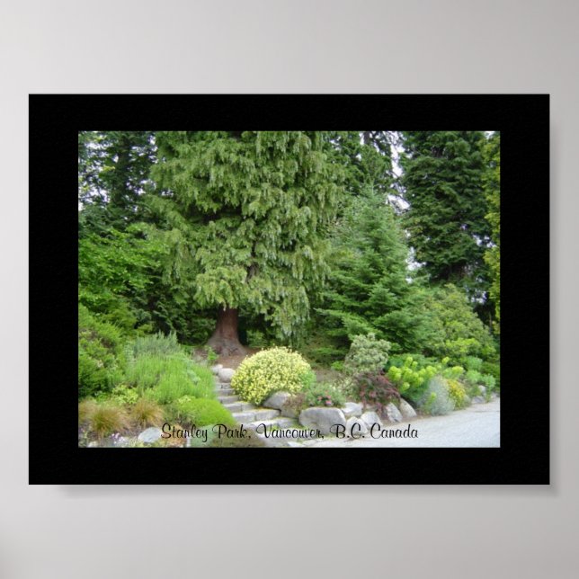 Póster Stanley Park, Vancouver B.C. (Frente)