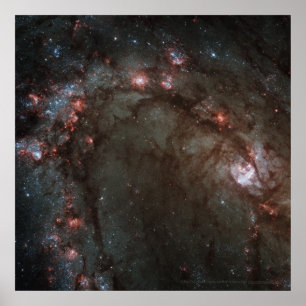 Poster Star Birth in Galaxy M83 Detail 12x12 (13x13)