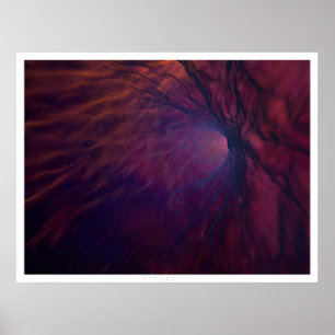 Póster Starbirth