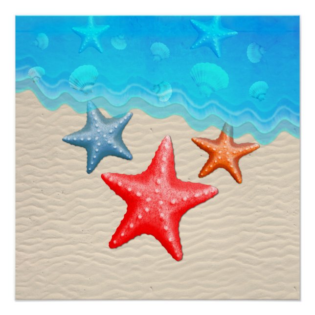Póster Starfish E Seasheles (Frente)
