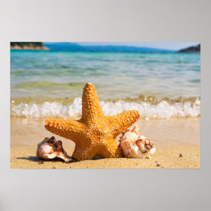 Póster Starfish e Seashells na praia