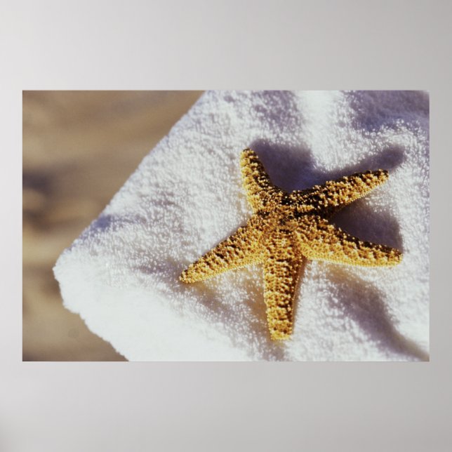 Poster Starfish Em Uma Toalha (Frente)