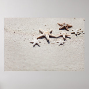 Póster Starfish na areia