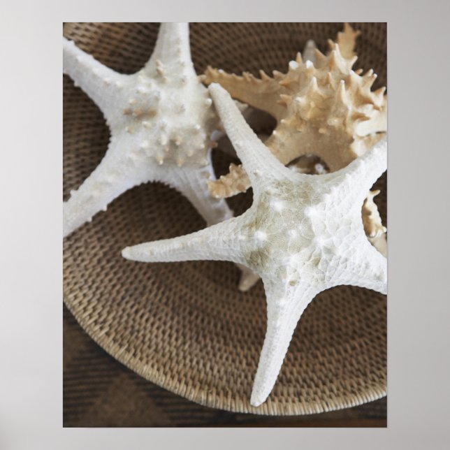 Poster Starfish numa cesta (Frente)
