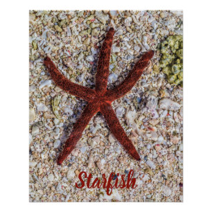 Póster Starfish Ocean Vintage Beach Retro Souvenir