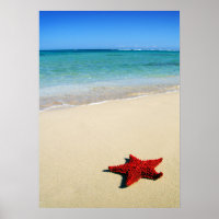 Starfish Vermelho Na Praia Branca Da Areia