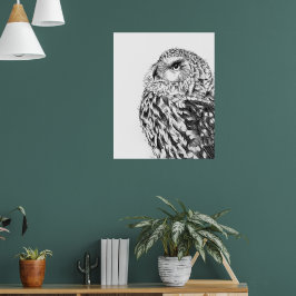 Poster Stargazer