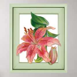 Póster Stargazer Lily Botânica