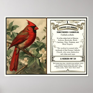 Poster State Bird Collection, Cardinal, personalizável