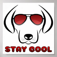 Stay Cool - Dog