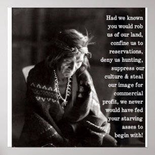 Póster Stealers da terra