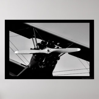 Poster Stearman Kadet