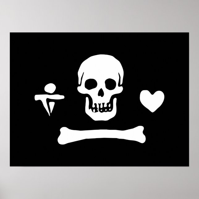 Poster Stede Bonnet Pirate Flag Jolly Roger (Frente)