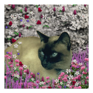 Póster Stella in Flowers I, Chocolate & Cream Gato Siamês