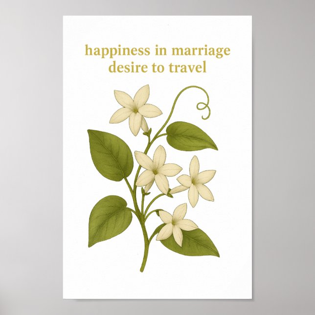 Poster Stephanotis - Felicidade no casamento (Frente)