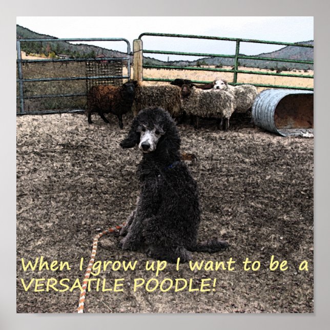 Póster Sterling (Frente)