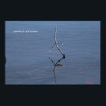 Poster Stick in the water<br><div class="desc">Funny stick in the water</div>