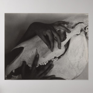 Poster Stieglitz Georgia O’Keeffe Mão Foto Crânio De Cava