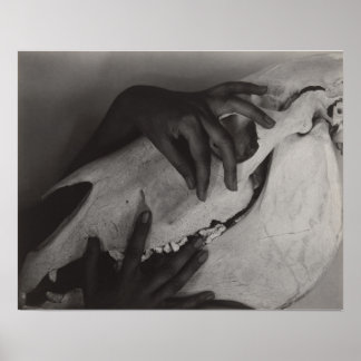 Poster Stieglitz Georgia O’Keeffe Mão Foto Crânio De Cava