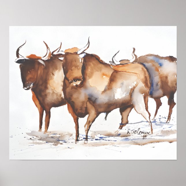 Poster Stieren (Frente)