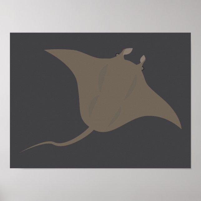 Poster Stingray (Frente)