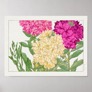 Poster Stock de Tanigami Konan