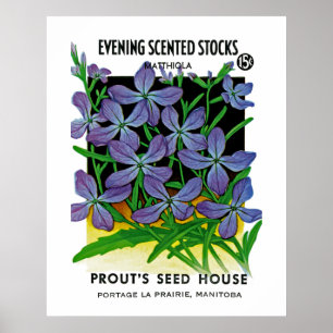 Poster Stocks Perfumados à Noite