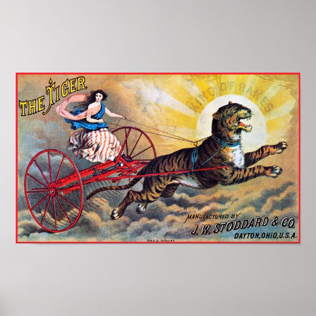 Póster Stoddard Tiger (Frente)