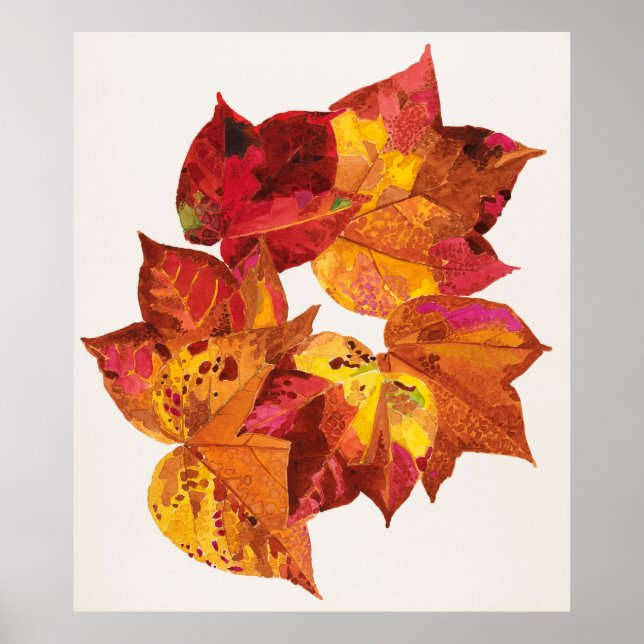 Poster Stolk's Carpente (Frente)