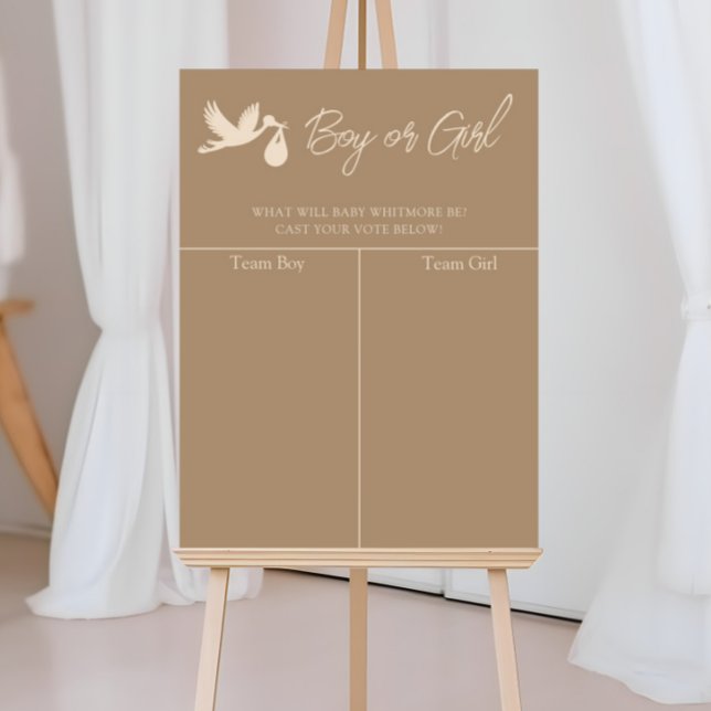 Poster Stork Baby Delivery Gender Reveal Prediction (Criador carregado)